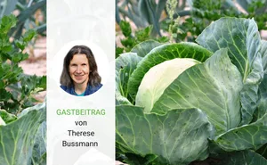 Gastautorin Therese Bussmann erklärt, warum es sich für sie lohnt, einen Garten zu pflegen.