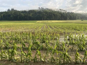 Das vergangene Jahr brachte massive Kulturschäden durch Unwetter. Betroffene Landwirt(innen) sollen sich rechtlich wehren können, weil der Klimaschutz nicht vorwärts komme