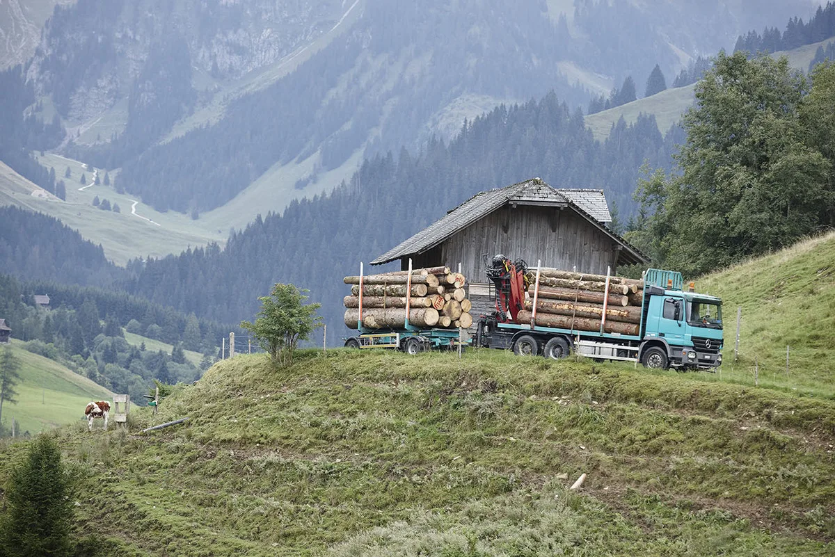 c2a9672d6346b1b74ca0e635379853ccf3a740ae Dank der neuen Beiträge sollen Schweizer Wälder auch in schwer zugänglichen Gebieten in gutem Zustand gehalten und klimafit gemacht werden können. (Bild zVg)