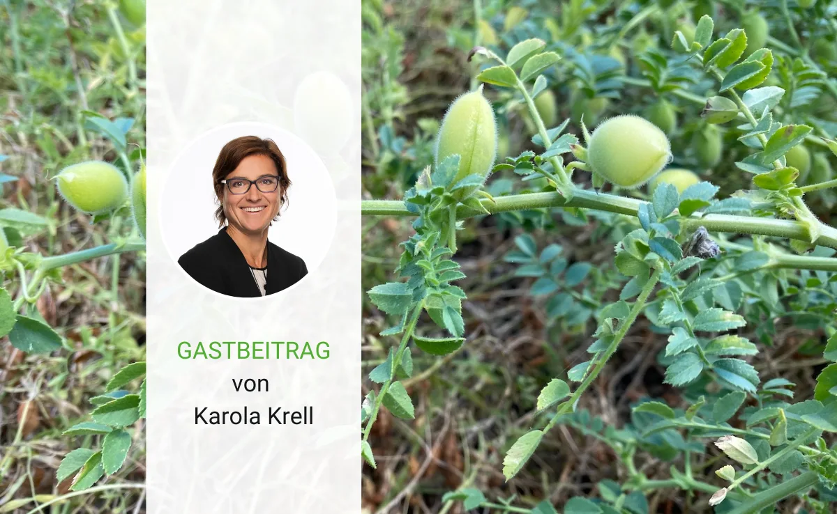 gastbeitrag_SPA Für alternative Proteinquellen aus der Schweiz heisst der Weg «gemeinsam»