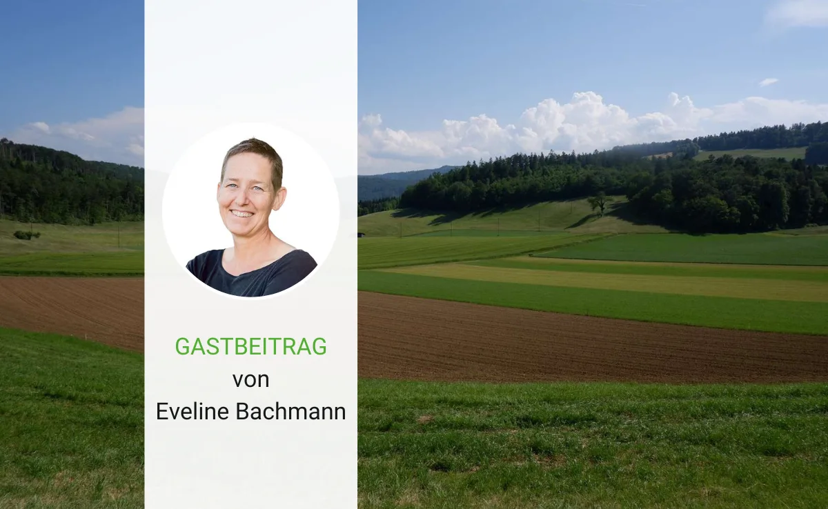 Artikel_Gastbeitrag_BauZ_Bachmann Ist die Landwirtschaft flexibel und anpassungsfähig genug?