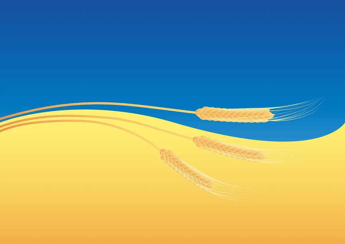 wheat-gdab65e2c9_1280 Ukraine könnte wegen Krieg die Hälfte ihrer Ernte einbüssen
