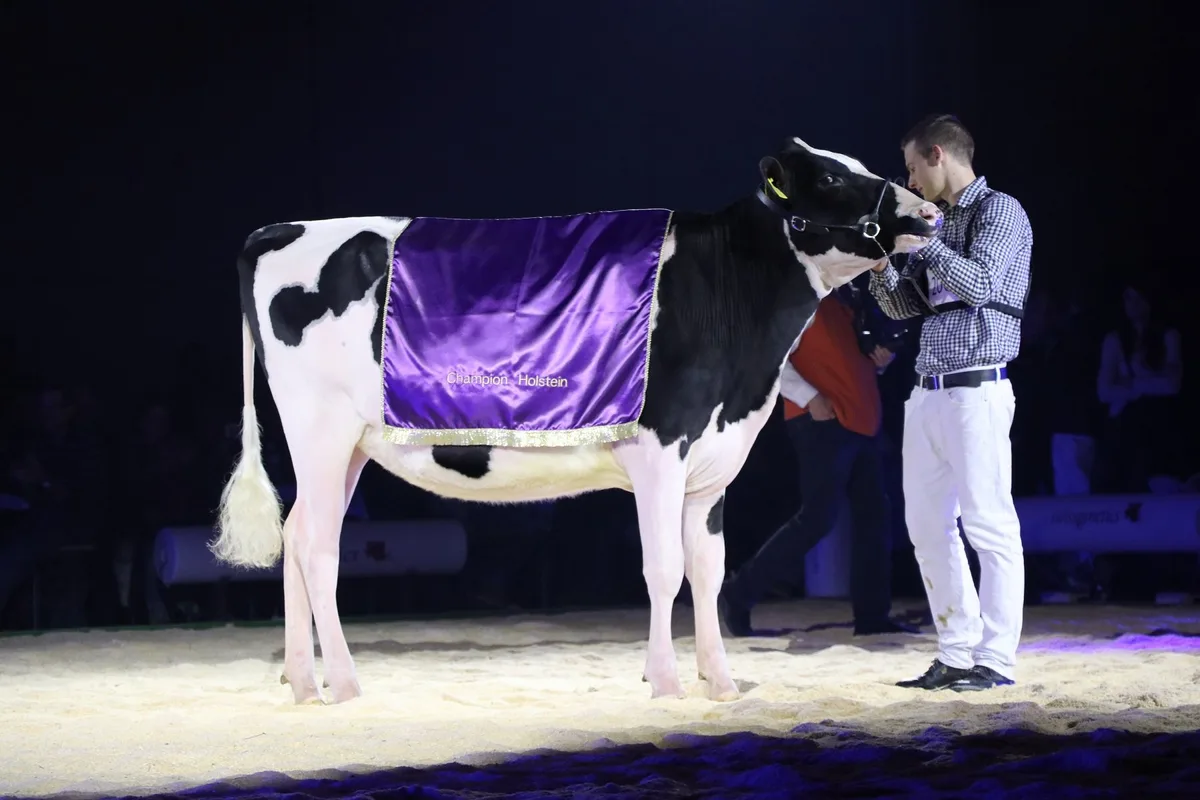 d8d8fedeedd7ba9f7862748ea971258999da58bd Swiss-Repro Mccutchen Panda von Sabrina und Seline Krebs, Gerzensee BE, wird Supreme Champion.