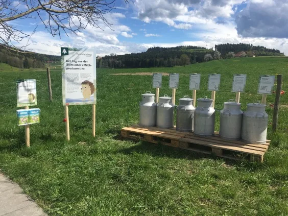612386b356075e346ee1b0ece9a51605d17faafc An den Erlebnisposten des Buurelandwegs werden zum Beispiel Fakten zur Milchproduktion spielerisch vermittelt. (Bild zVg)