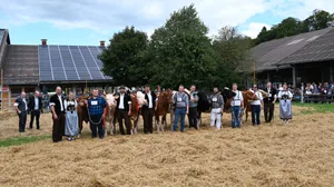 Das sind die schönsten Emmentaler Kühe (v. l. n. r.): Miss Rinder Veieli, Schöneuter SI Famosa, Miss SI Jrina, Schöneuter RH Gratgerbers Absolute Celestine, Miss RH und Emmental Oberlis Jordy Leonie, Schöneuter HO Thomis Unix Destiny, Miss HO Läderachs Casper Voyante, Miss SF Löffels Edison Rubina und Schöneuter SF Schwarzbach Aslan Hanova.