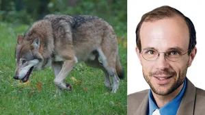 Roland Norrer ist Professor für öffentliches Recht und Recht des ländlichen Raums an der Universität Luzern. (Bilder Pixabay / Uni Luzern )