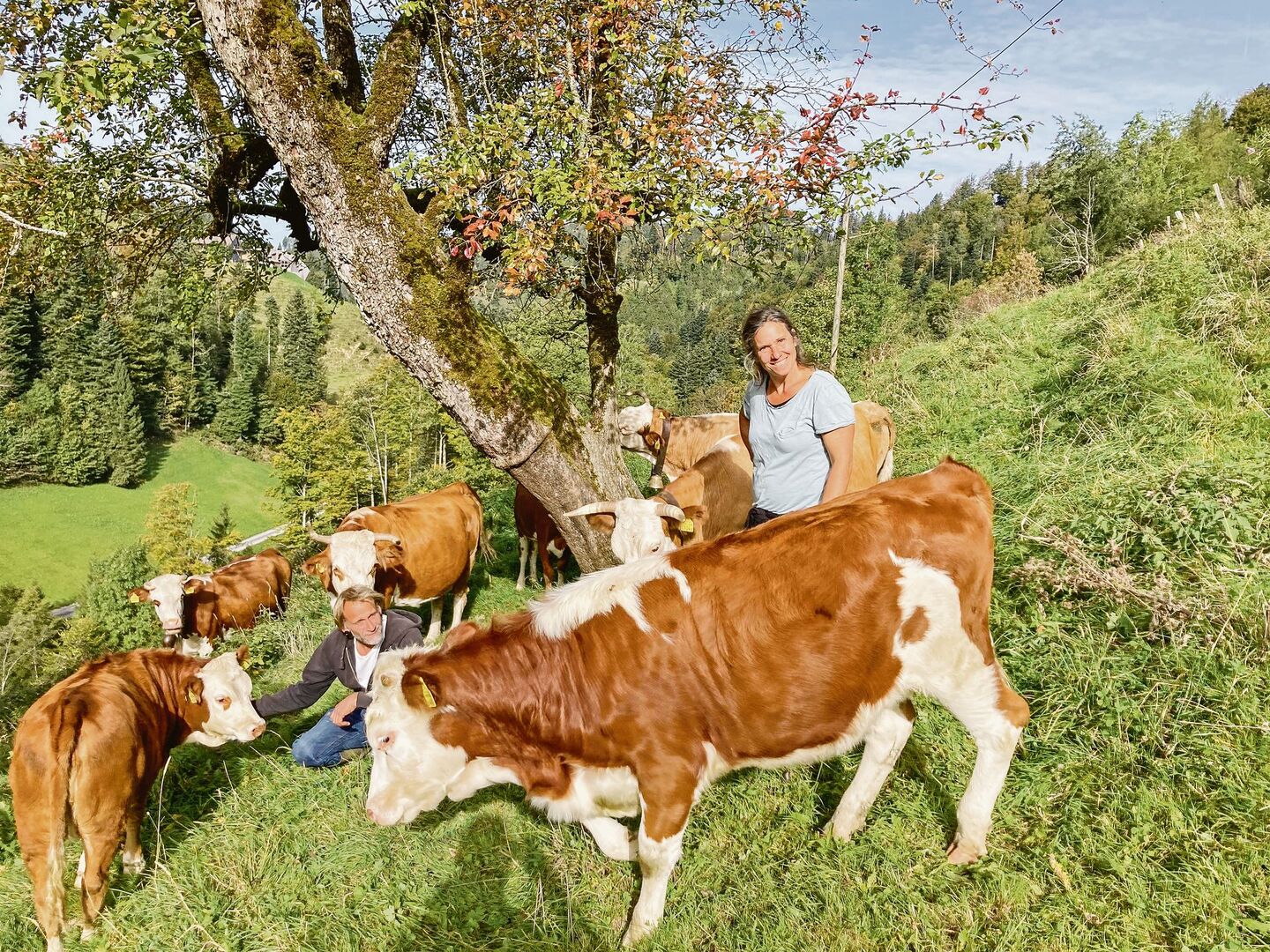 Jörg und Tamara Stoller vom Biohof Grossegg mit ihren stämmigen Hinterwälderkühen. Sämtliche Produkte vom Betrieb werden direktvermarktet. Die Nähe zum Ballungsgrossraum Zürich und Winterthur macht es möglich.
