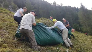 Die Freiwilligen zahlen eine Anmeldegebühr, die Arbeitseinsätze würden aber vollständig der Natur zugute kommen und es resultiere kein finanzieller Gewinn, betont Pro Natura. Auf dem Bild zu sehen ist eine alte Wildheufläche im Kanton Graubünden, die während einer Ferienarbeitswoche wieder genutzt wird.