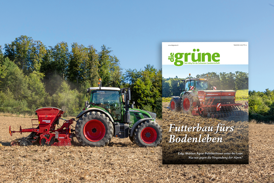 «die grüne» im September 2023 – Futterbau für das Bodenleben