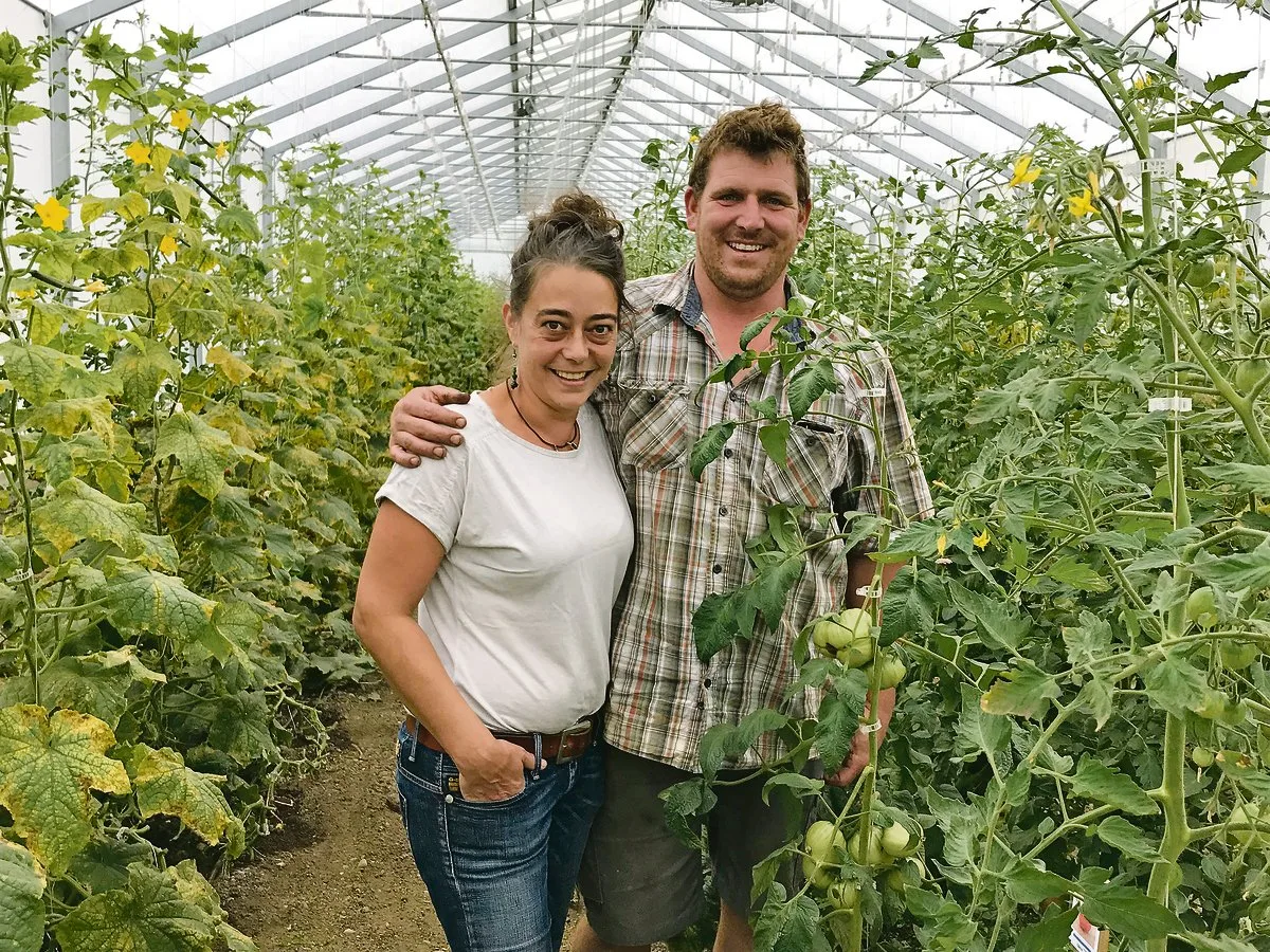 9c2bef3eb7fe5a79c00ef76a98a05c5b2149f412 Sabrina und Markus Ammann haben in ihrem Treibhaus Tomaten verschiedener Sorten, Gurken und Auberginen angepflanzt. (Bild Alexandra Stückelberger)