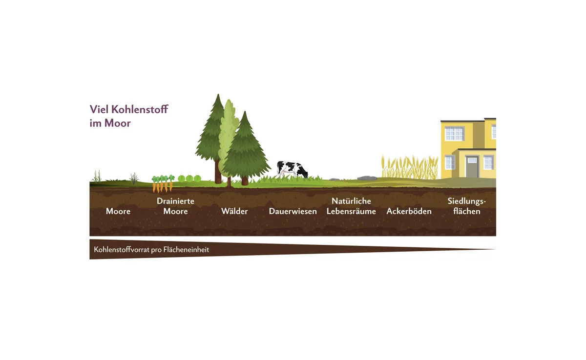CO2-Sequestrierung-Ackerboden Infografik zeigt die Bodenhorizonte von Mooren über Ackerböden bis hin zum Siedlungsgebiet. Aufgezeigt wird dabei der Kohlenstoffvorrat der jeweiligen Böden.
