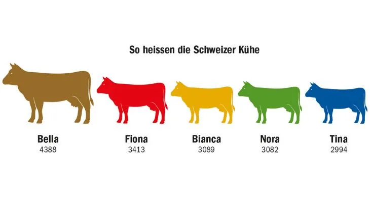 4acc211b41c30abcfa3741be7eac8b75af9715d6 Bella ist in der Schweiz der beliebteste Name für weibliche Rinder. 4388 Kühe (Stichdatum: 31. März 2021) hören auf diesen Namen. Auf Rang 2 folgt Fiona. (Grafik dr/Quelle LID)