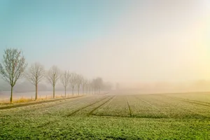 Ursprünglich wollte die EU-Kommission vorschreiben, dass vier Prozent des Ackerlands Brachen sein oder beispielsweise als Hecken genutzt werden müssen.