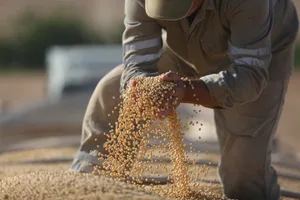 Verantwortungsbewusster Import von Futtermitteln bedeutet für das Soja Netzwerk, dass Urwälder und wichtige Ökosysteme geschützt, Landrechte der lokalen Bevölkerung respektiert und die gentechfreie Sojaproduktion gestärkt werden.