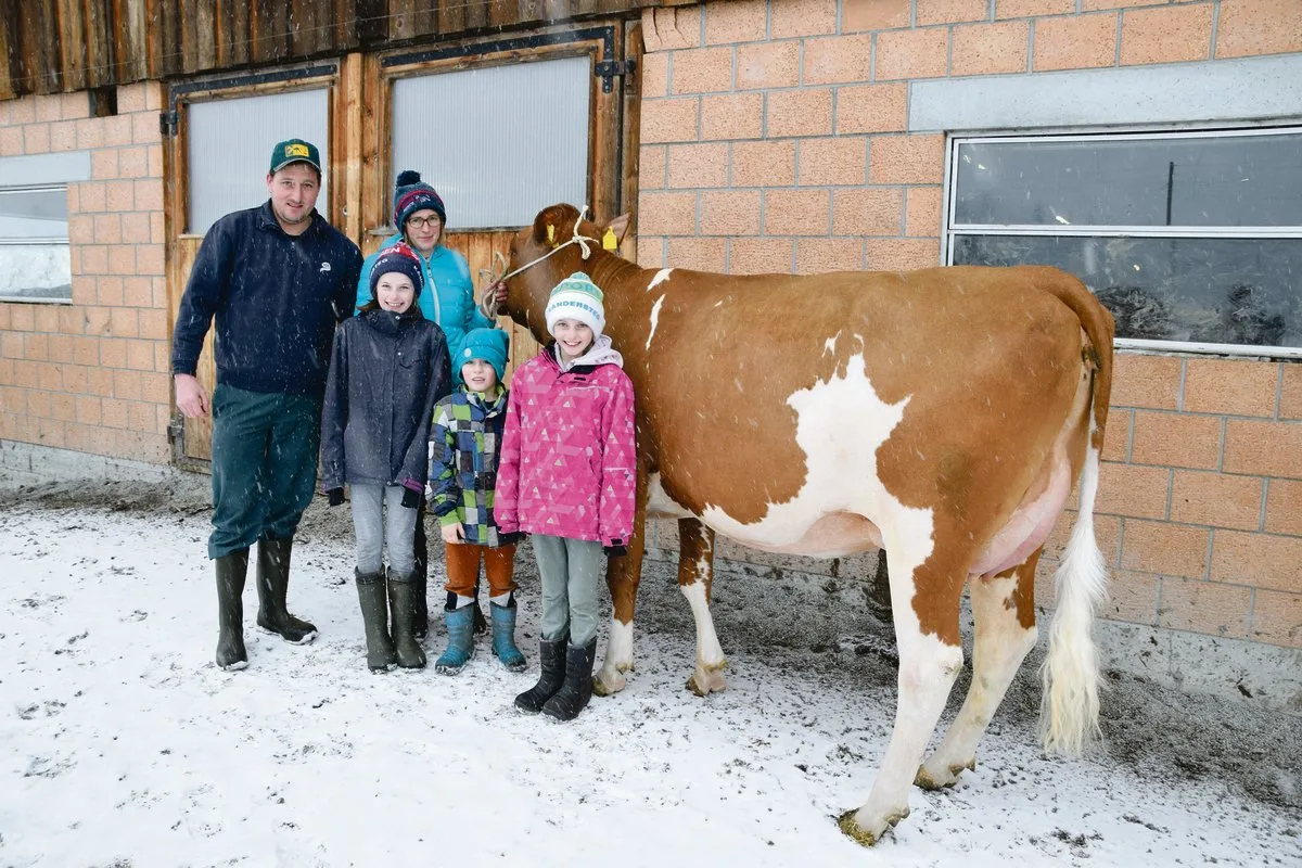 fe2be8823a4d3c032988d1b801ad7d16c14dc234 Ursula und Samuel Künzi mit den Kindern Leonie, Jasmin und Samuel. An der Halfter die Kuh Umberto Bajana.(Bilder Peter Fankhauser)