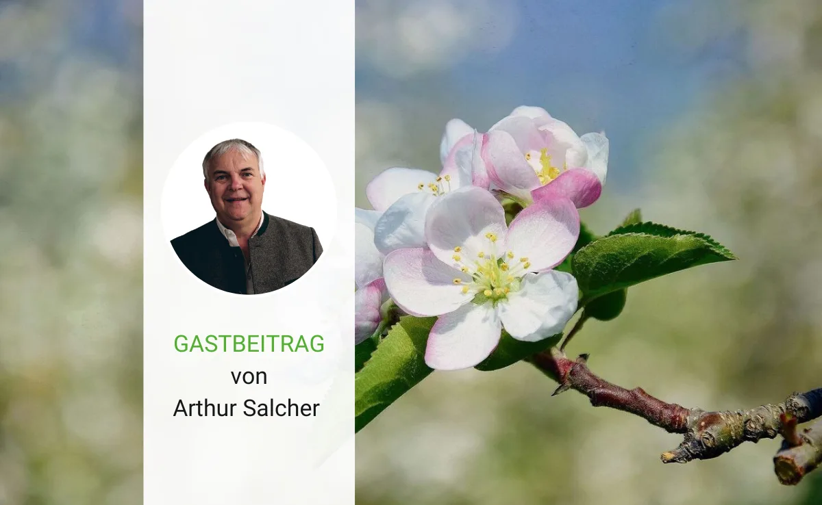 Artikel_Gastbeitrag_BauZ-Salcher «Jesus lebt!» - «Und wir erst, yeah!»
