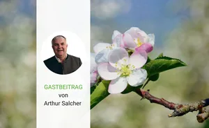 Der ewige Kreislauf: Im Frühling spriesst wieder Leben.