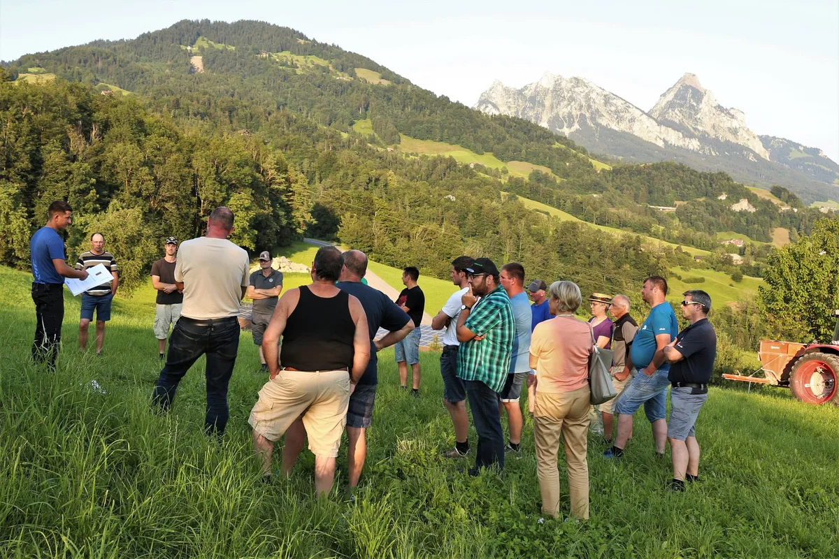 240718_Flurbegehung_Landi_004 Die gefürchtete Hirse ist wieder im Anmarsch