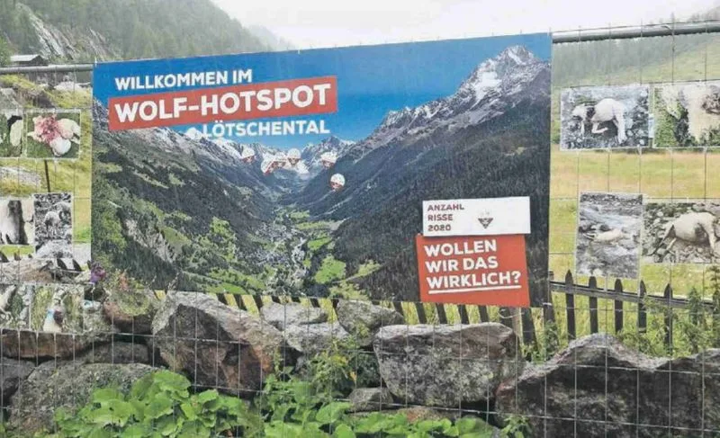 9b89b24f10cc4839bae632716f18a9e3739b0e1a Mit einem Plakat protestieren Schäfer aus dem Lötschental gegen den Wolf. (Bild Screenshot Walliser Bote)