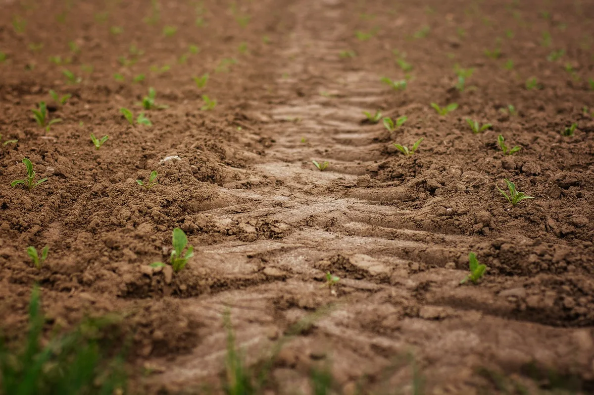 field-ga2d6e7e6f_1280 Der Druck auf die Landwirtschaft steigt: Der Ackerbau funktioniert im Notfallmodus