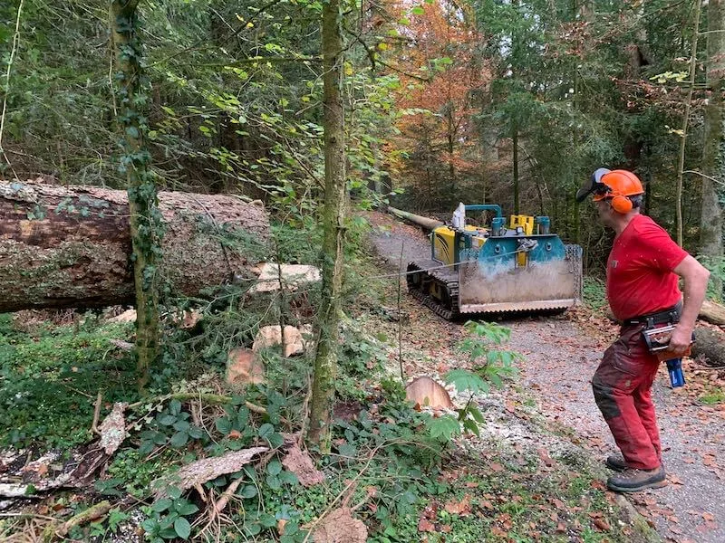 4aa5be9c2860ee5aaa935f63569aed0dde37a484 Rücken von Käferholz mit der Seilwinde. Der von Daniel Ott ferngesteuerte selbstfahrende Raupenschlepper eignet sich besonders für schmale Pfade. Das schont auch den Boden. (Bilder Josef Scherer)
