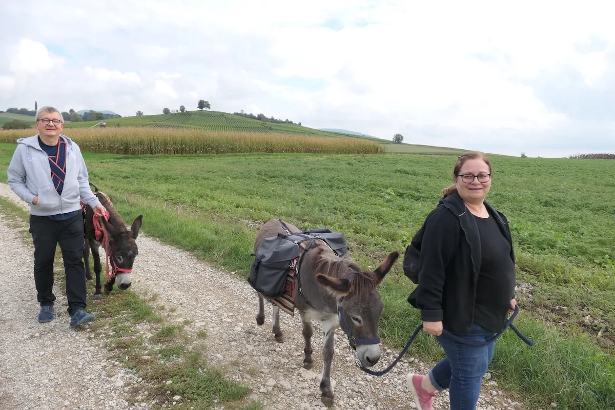 BZ-LAN2-45-Esel-Spaziergang Unterwegs mit den Grautieren Charly und Shana
