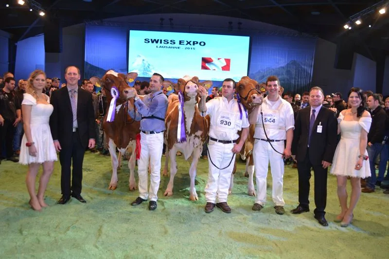 226b89ec723b3fe6d72ddd84b532150628eb7a7c Senior Champion (Mitte): Plattery Savard Renita, Christian Menoud, Romanens / Reserve Senior Champion (links):Sam Kalinka, Roger Frossard, Les Pommerats / Mention Honorable (rechts): La Biolleyre Jet Fureur, Benoît Cardinaux, Bouloz