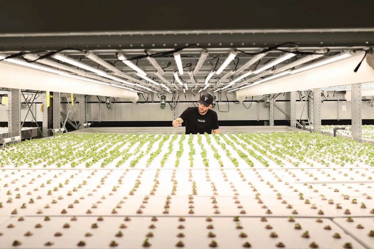 Führt Vertical Farming nun endlich zum Erfolg?