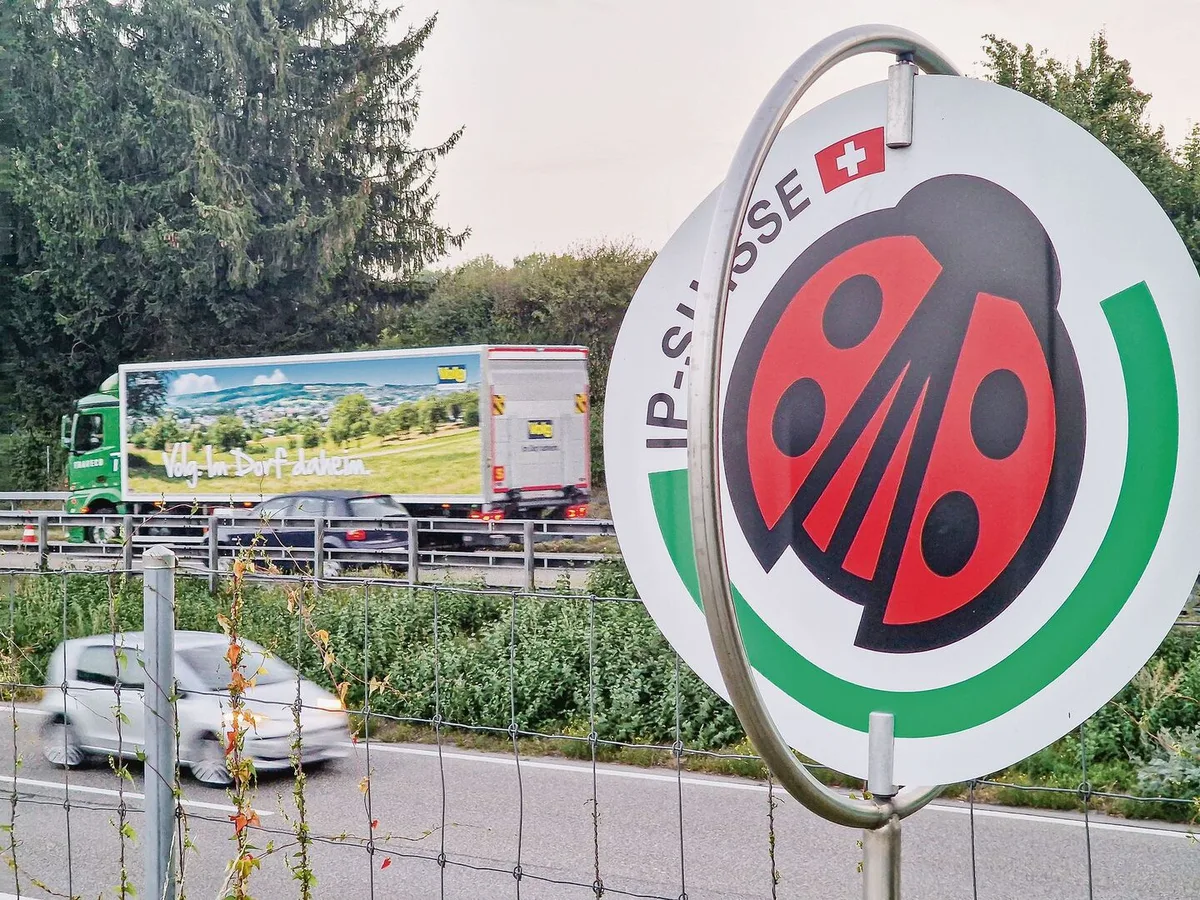 Der Käfer hat es in viele Gestelle geschafft. Beispielsweise in jene von Volg. Die zahlreichen Themenfelder und Partner bereiten Arbeit – auch für Christophe Eggenschwiler.