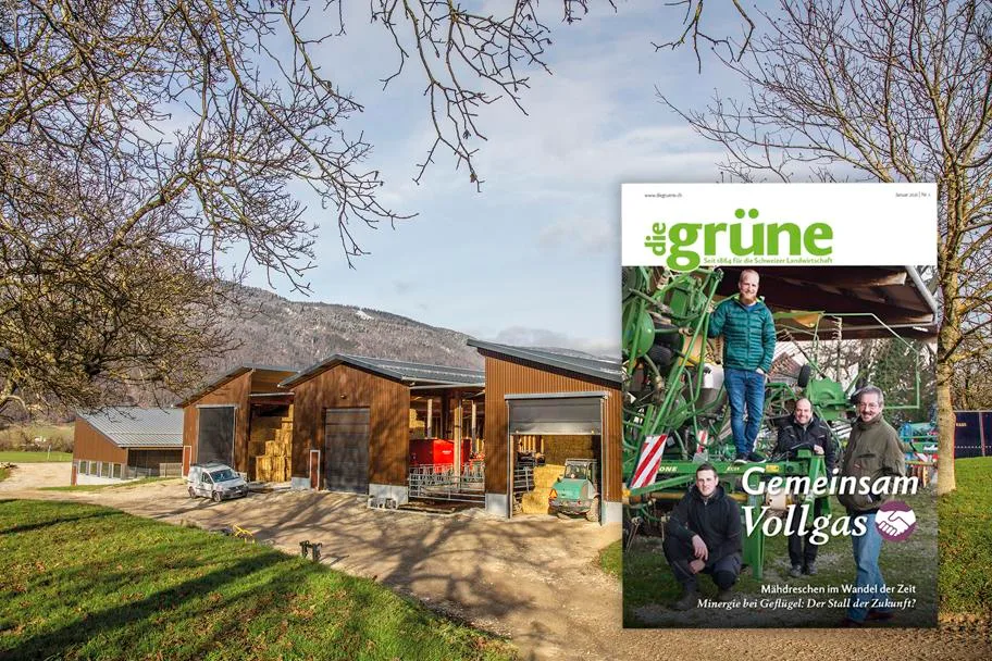 Das Januar Heft von «die grüne» bespricht unter anderem die Themen Fruchtfolgegemeinschaft, Milchgehalte bei Vollweiden und Pflanzenschutzmittel. (Bild DG)