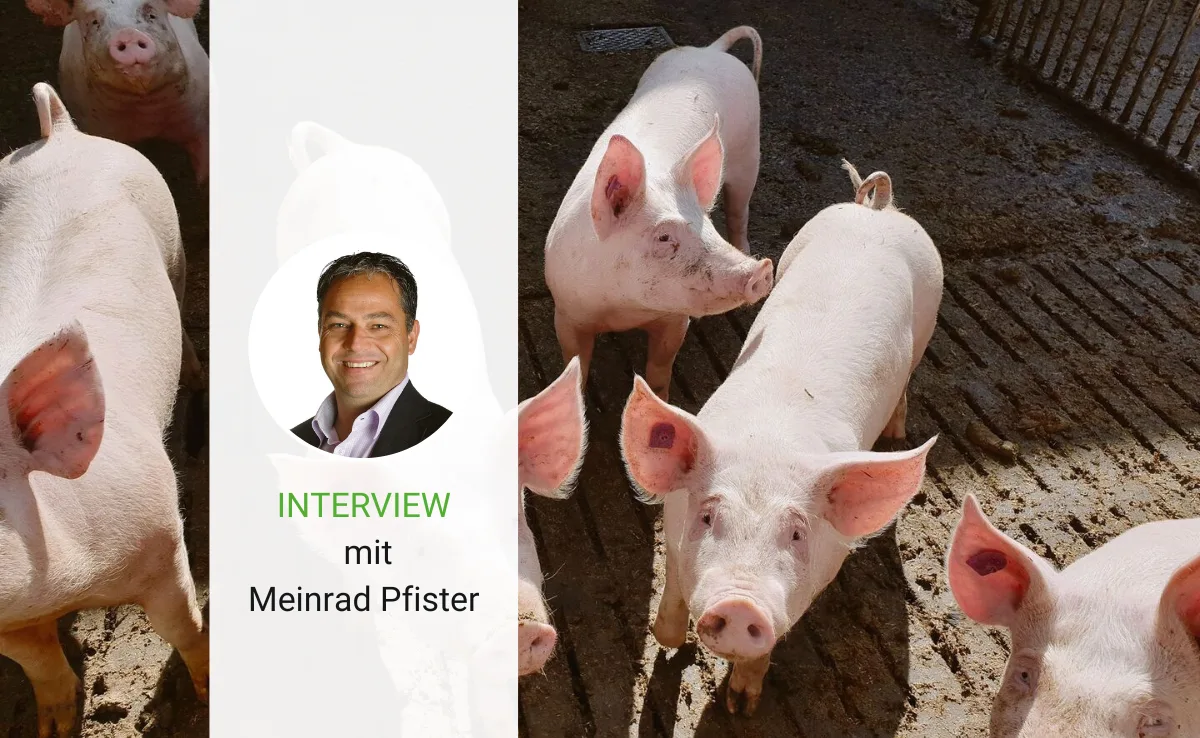 Interview_sdg_pfister Dicke Luft in der Schweinebranche: Der Präsident versucht zu lüften