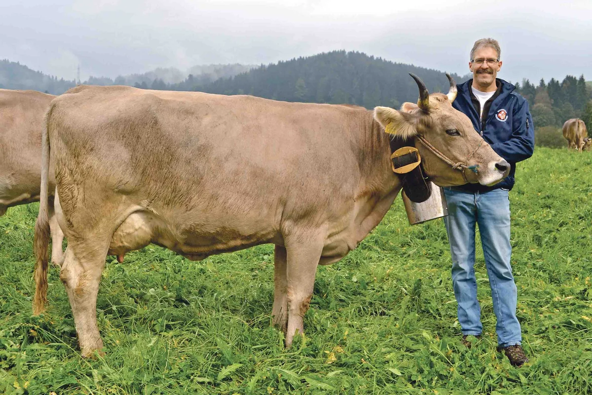 707461b60eac11eab96dc09871699d581ff6f8f8 Verbandspräsident Felix Honegger aus Hinwil ZH mit seiner Zweitkalbskuh Rino Riva, welche von Kopf bis Schwanz alle Vorzüge der reinen OB-Rasse repräsentiert. (Bild pf)