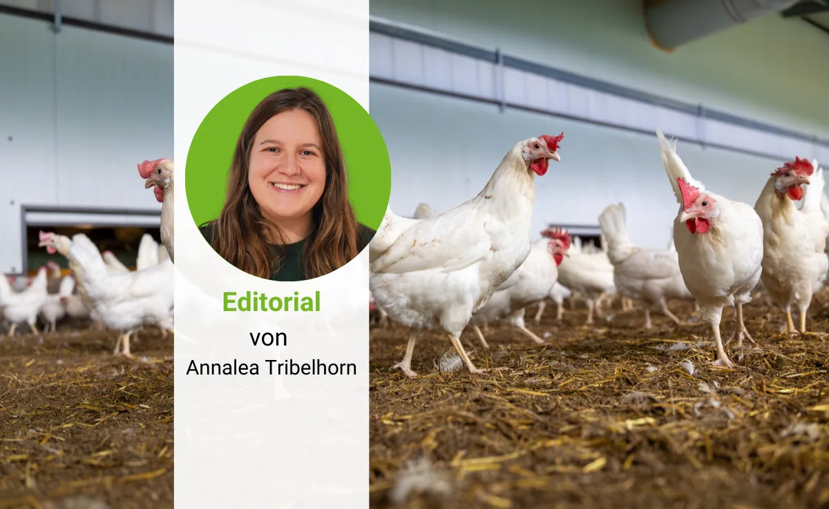 Editorial_DG Damit LandwirtInnen am Schluss nicht auf den Mehrkosten sitzen bleiben, müssen alle Akteure der Wertschöpfungskette eine Zahlungsbereitschaft garantieren.