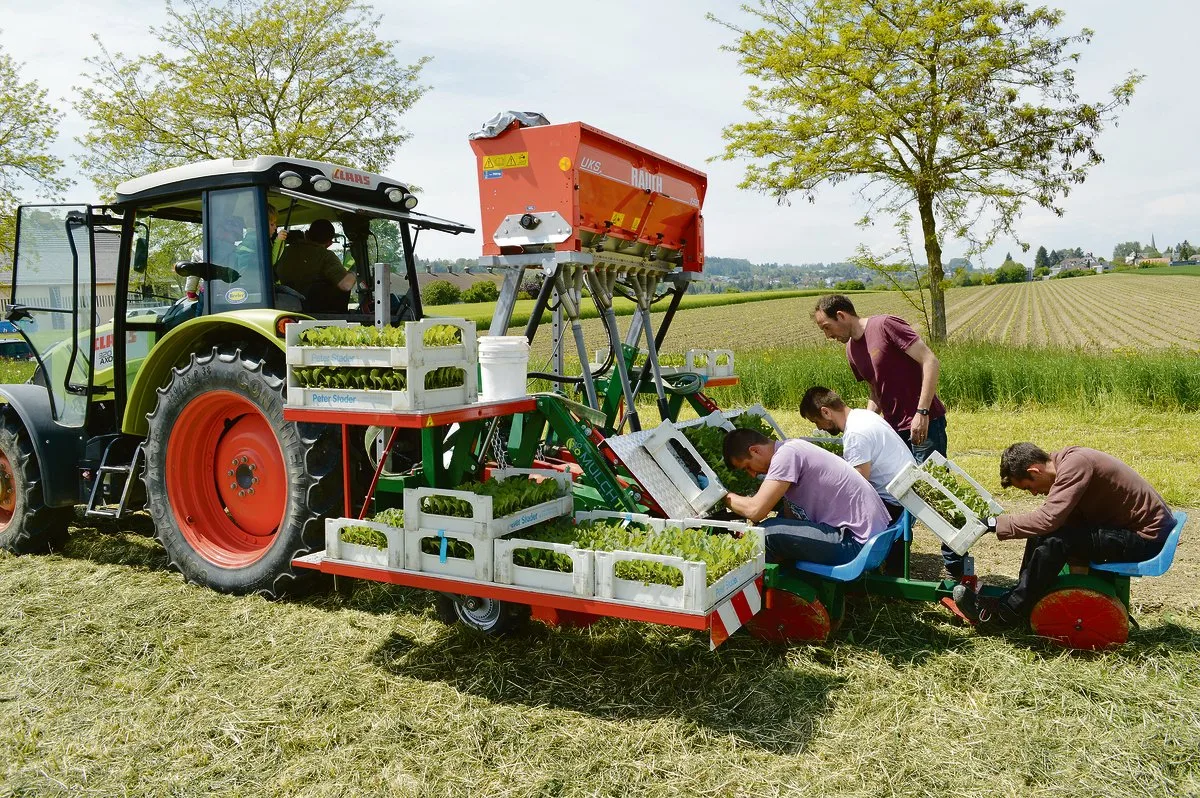 e30de69c601e1d66a6662e5ed07aaadf35e2b41a Mit dem Reihenmulchschneidegerät wird der Mulch in mehreren Reihen gleichzeitig durchschnitten, im selben Arbeitsgang werden die Gemüsesetzlinge gepflanzt. (Bild Philipp Trautzl)