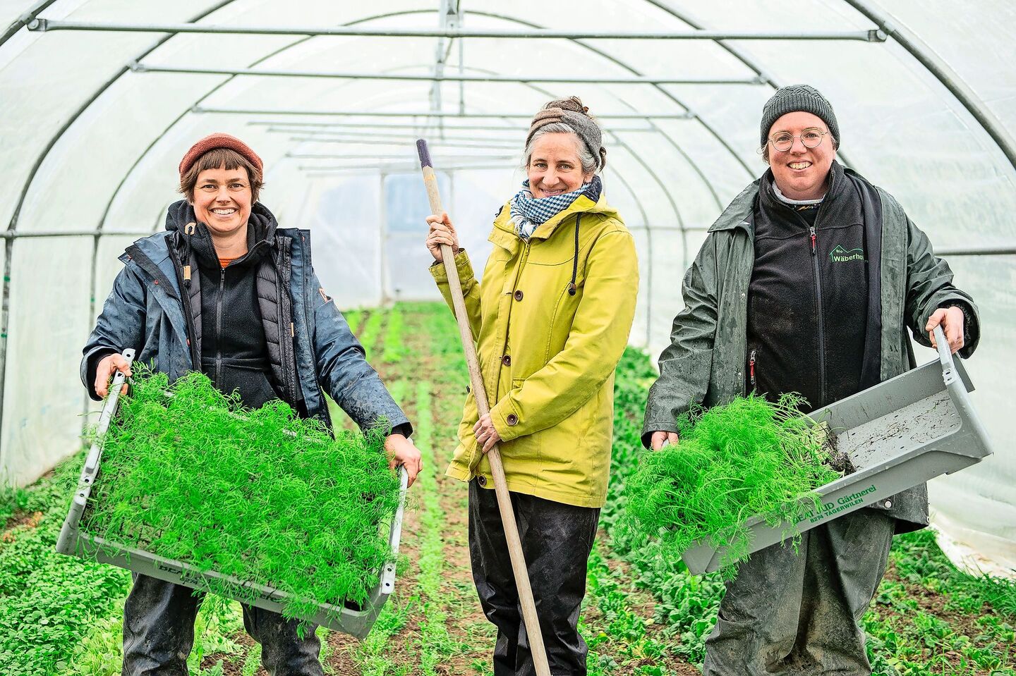 Demnächst wird der erste Fenchel angepflanzt: Anja Ineichen, Jenny Bolliger und Sarah Peter (v. l.) in einem der beiden Folientunnels.
