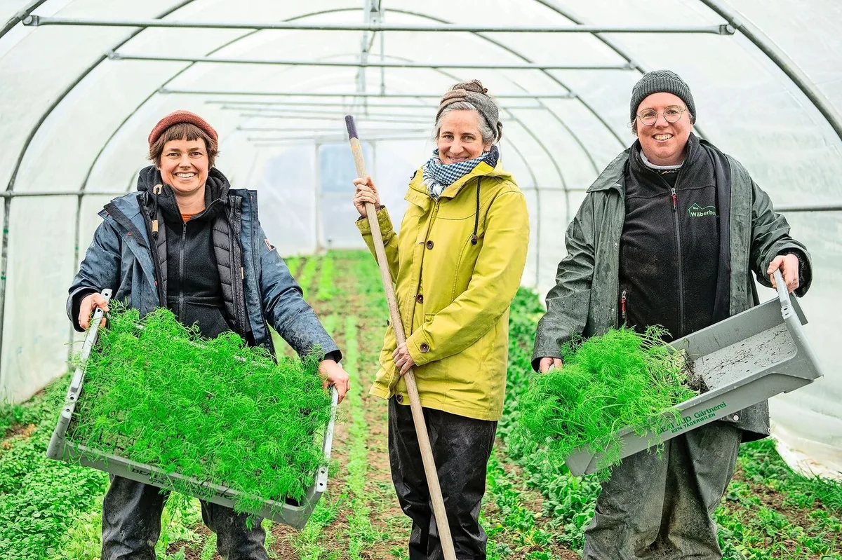 ae045a010f622a94beb1290d5feeddab58e51422f9d30409f09391c0454be25a Demnächst wird der erste Fenchel angepflanzt: Anja Ineichen, Jenny Bolliger und Sarah Peter (v. l.) in einem der beiden Folientunnels.