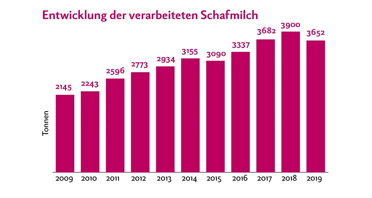 570749b114fa533d2f1306bded36ebb8e64dd263 Etwas mehr als die Hälfte der verarbeiteten Schafmilch wurde 2019 verkäst, der andere Teil ist Konsum-Milch und übrige Frischmilch-Produkte. Quelle: TSM Treuhand