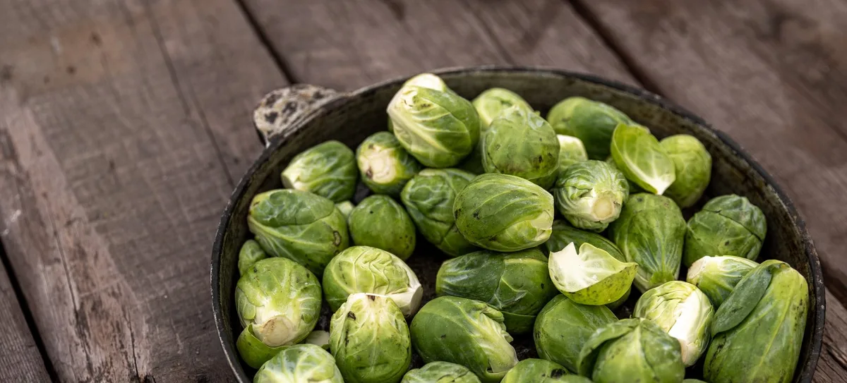 Rosenkohl_Pexels Rosenkohl – ein gesunder Gemüsezwerg