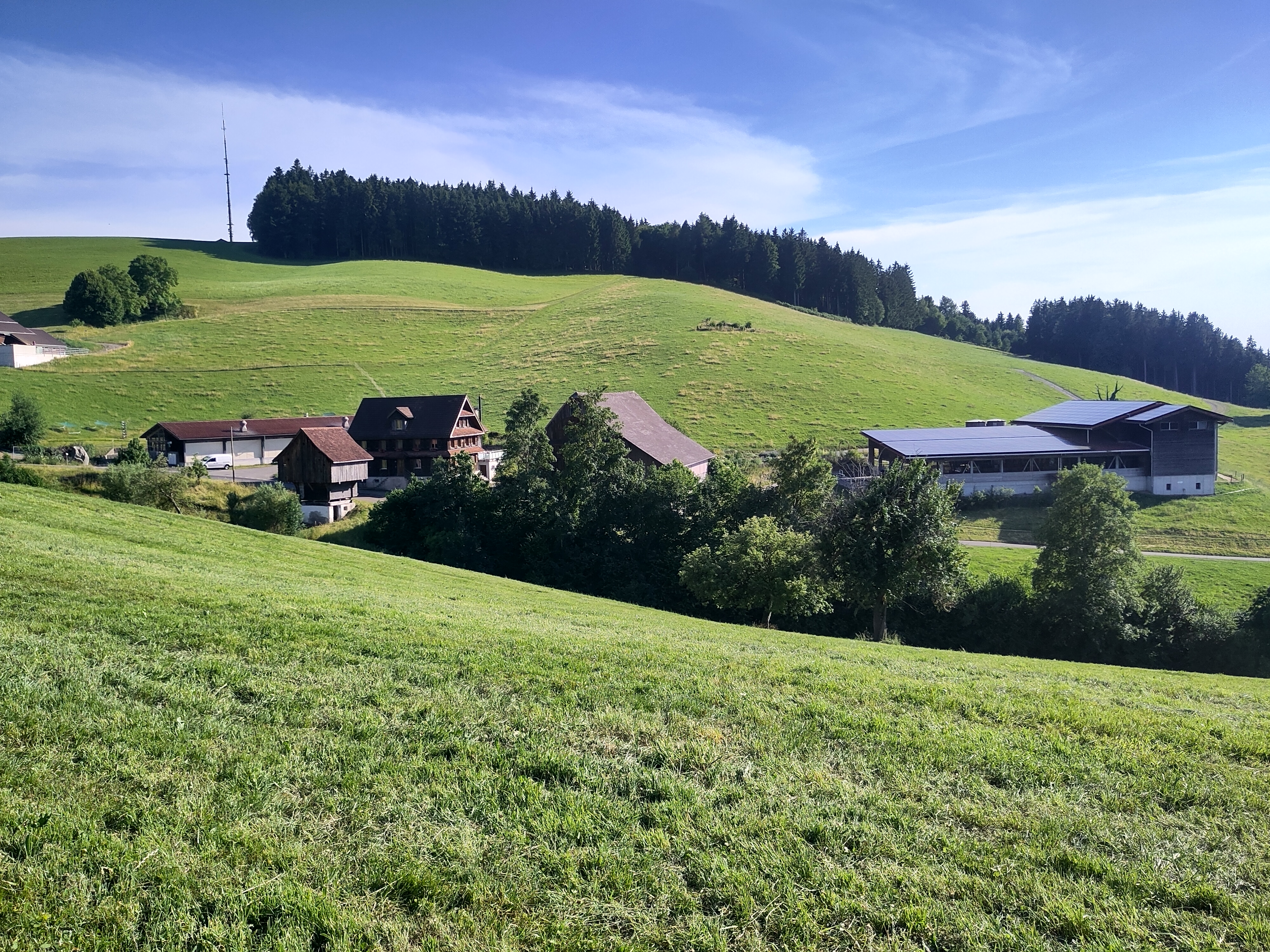Der Werderhof von David Bründler liegt in der Bergzone 1 und hat viele schattseitige Weide-Flächen.
