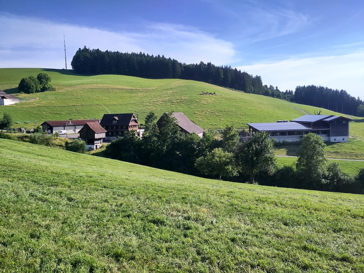 Der Werderhof von David Bründler liegt in der Bergzone 1 und hat viele schattseitige Weide-Flächen.