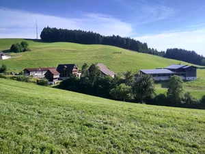 Der Werderhof von David Bründler liegt in der Bergzone 1 und hat viele schattseitige Weide-Flächen.