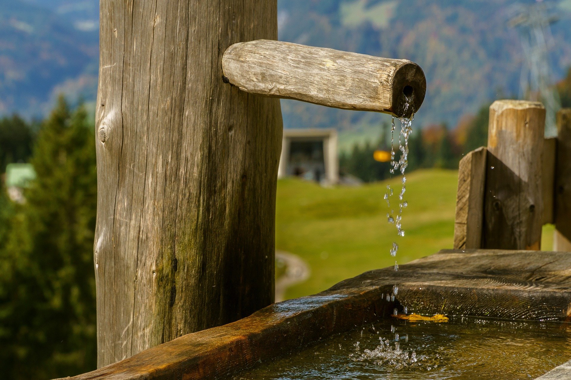 Brunnen sind zum Tränken da, nicht zum Baden. Menschen, Haus- und Nutztiere müssen das kühle Nass teilen. (Bild Pixabay)