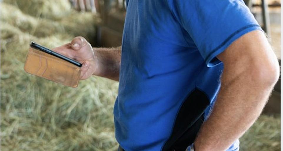 Die neue Version der Smartcow-App ist eine Weiterentwicklung mit neuen Funktionen. (Bild BauZ)