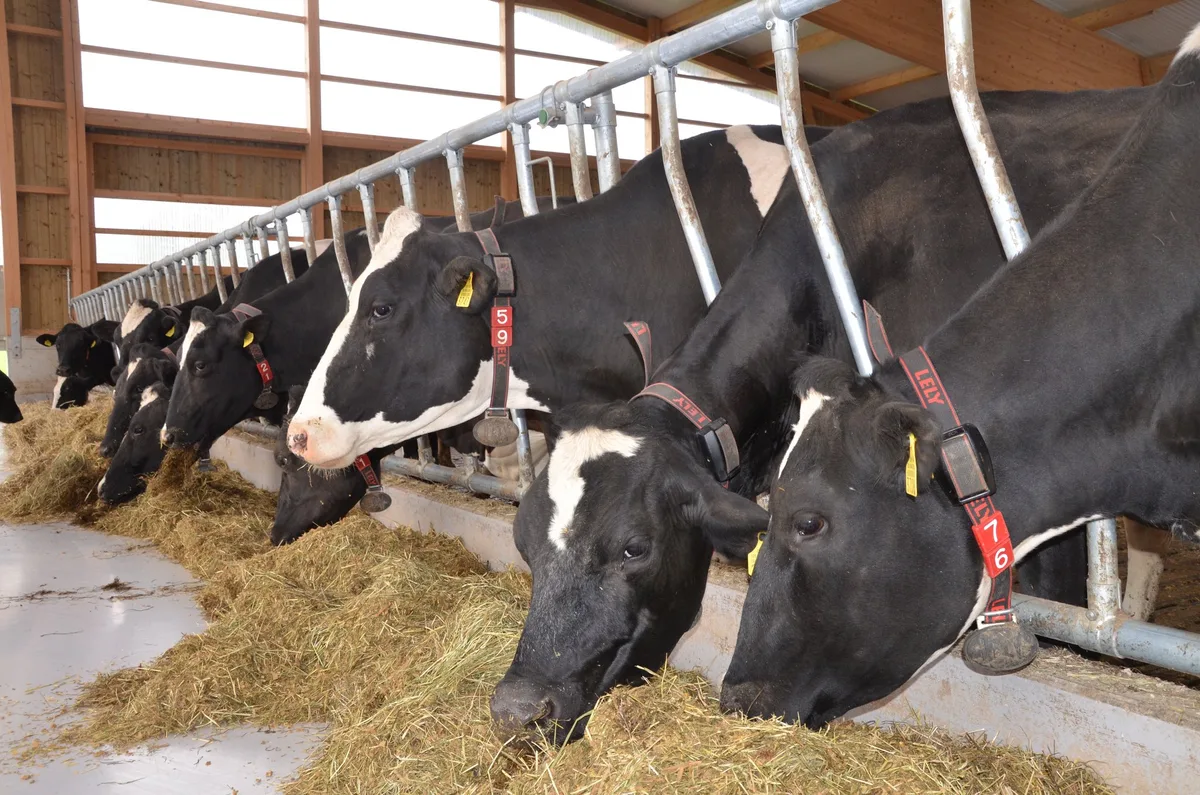 Der VMMO-Kostenrechner soll Milchproduzenten bei Preisverhandlungen helfen