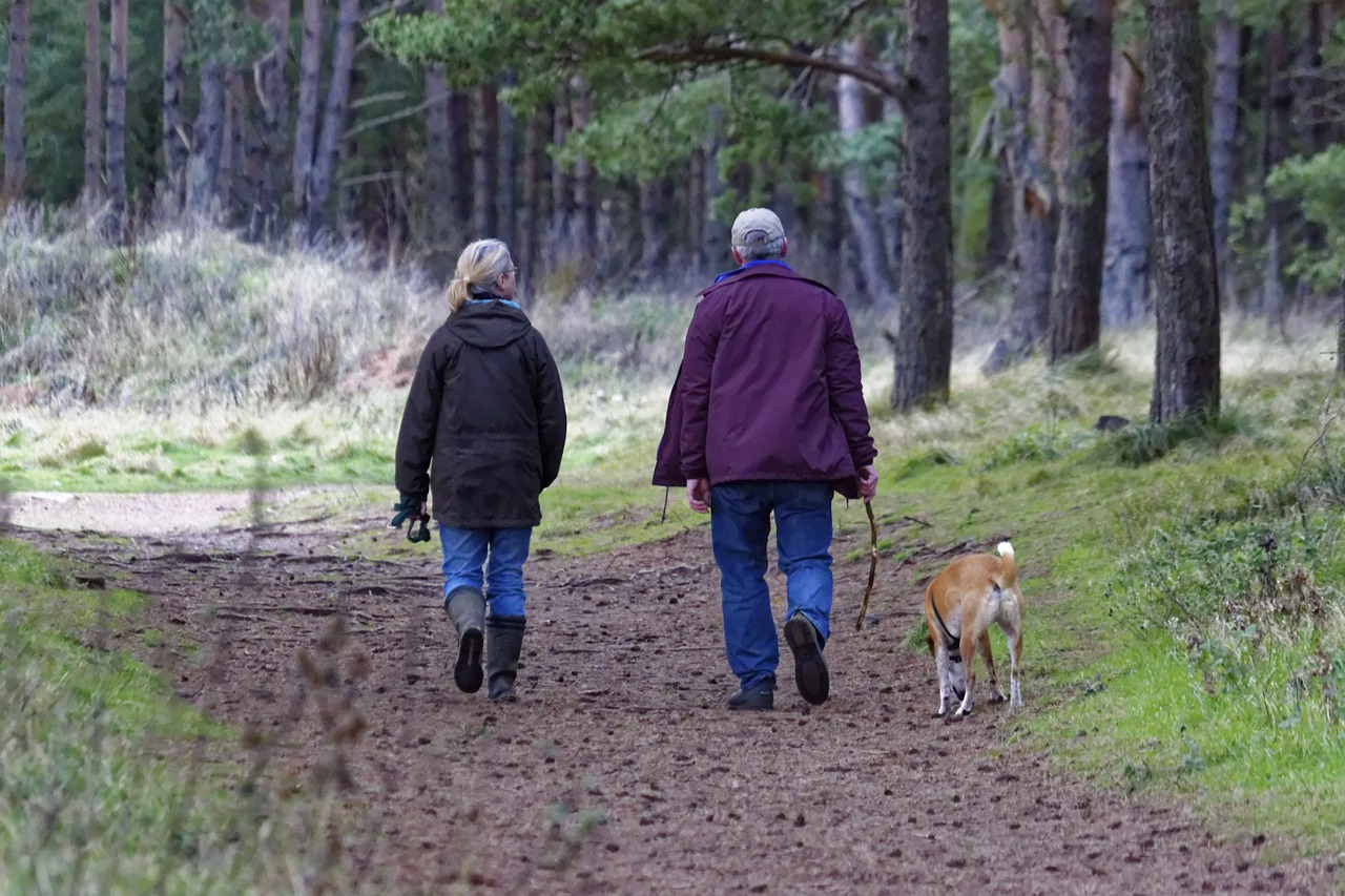 Auch wer einen grossen Hund hält, muss im Kanton Zürich künftig nicht mehr in den obligatorischen Hundekurs. (Symbolbild Pixabay)