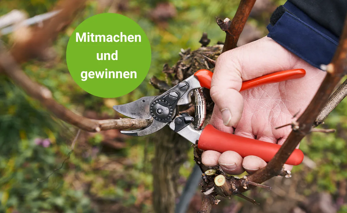 felco-titelbild-rev Gewinnen Sie eine ergonomische Baumschere von Felco
