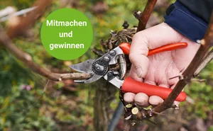 Gewinnen Sie mit etwas Glück eine Gartenschere von Felco.