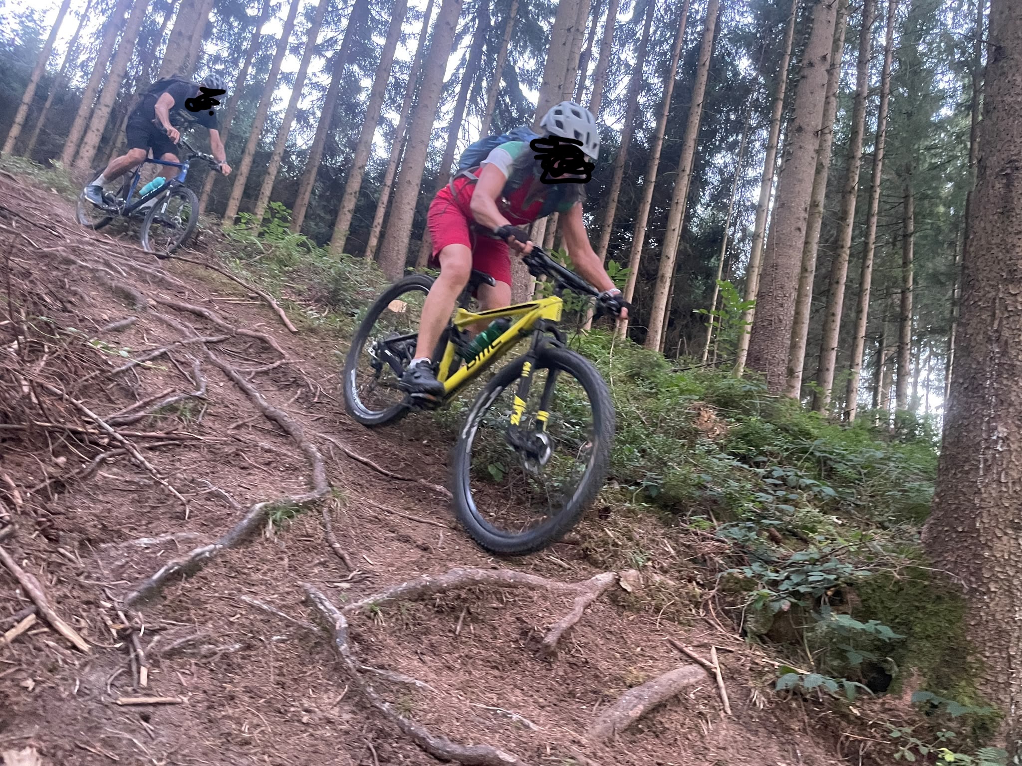 Die Nutzung des Waldes abseits von Wegen nimmt zu. Das kann zu Schäden am Waldboden und an Bäumen führen, wie hier auf einem illegalen Biketrail.  