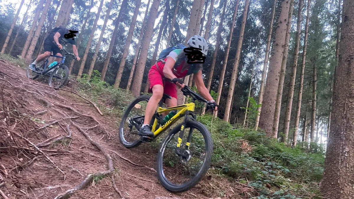 Biken Steilhang pixelt Kopie.jpeg Die Nutzung des Waldes abseits von Wegen nimmt zu. Das kann zu Schäden am Waldboden und an Bäumen führen, wie hier auf einem illegalen Biketrail.