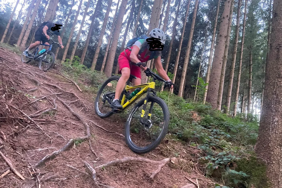 Biken Steilhang pixelt Kopie.jpeg Die Nutzung des Waldes abseits von Wegen nimmt zu. Das kann zu Schäden am Waldboden und an Bäumen führen, wie hier auf einem illegalen Biketrail.